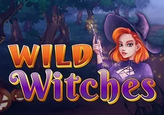 Wild Witches game thumbnail